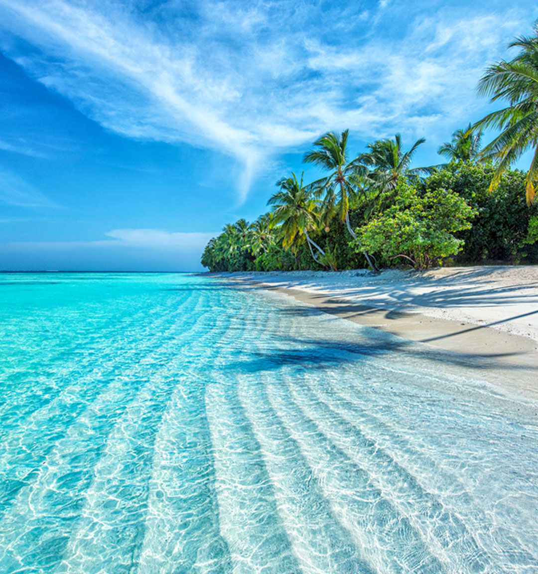 Caraibi